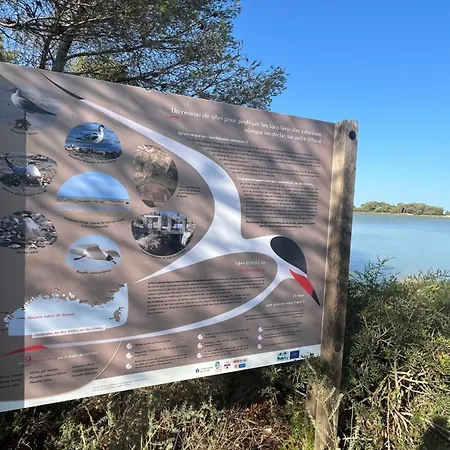 Grain De Sel Lägenhet Sigean