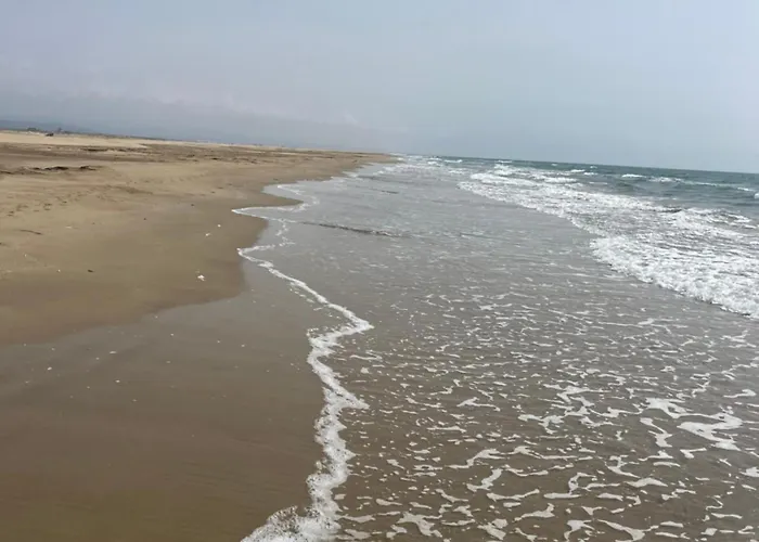 Apartamento Grain De Sel